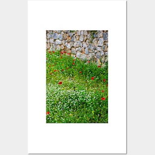 Poppies in a Meadow by a Stone Wall Posters and Art